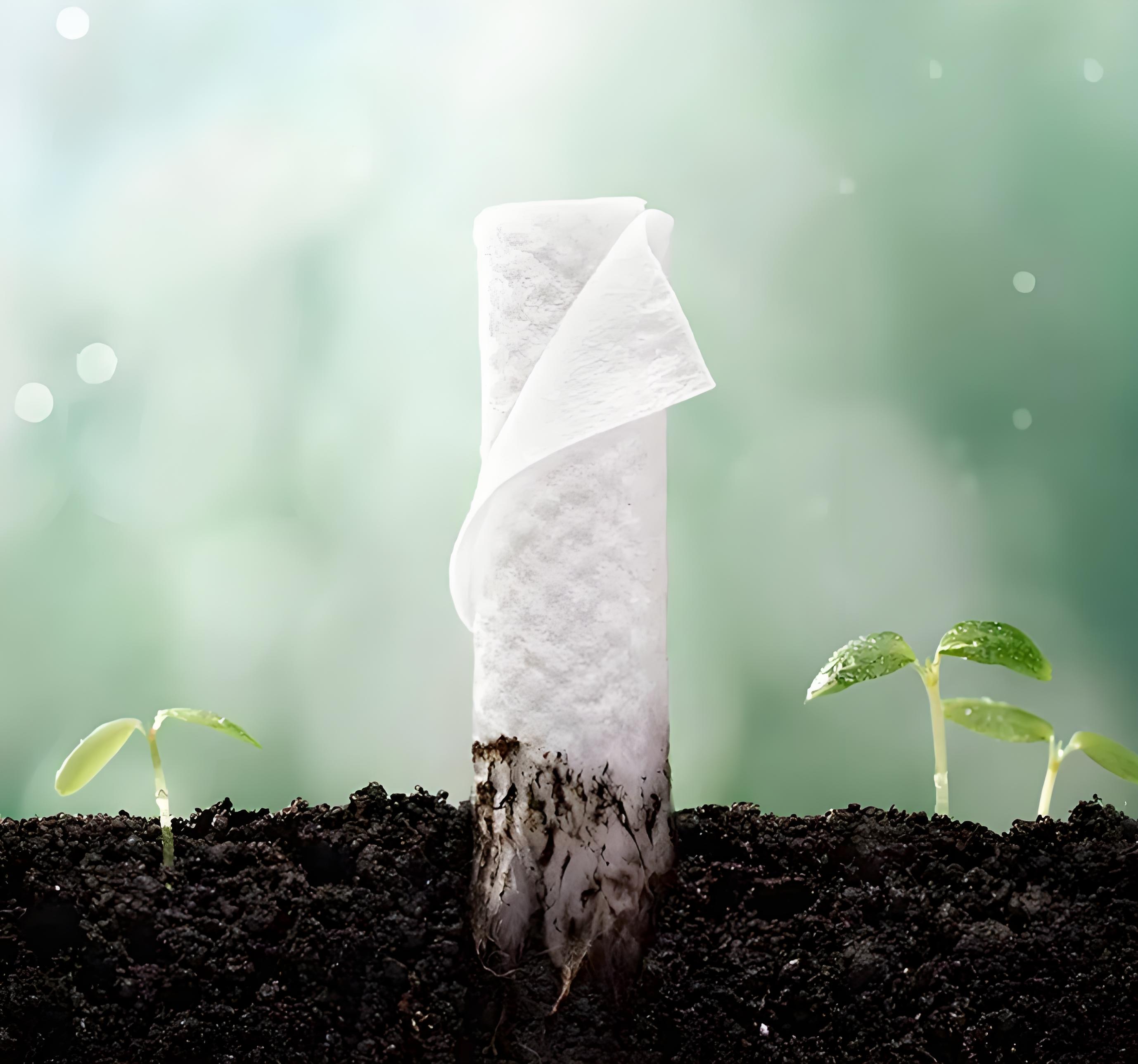 Sustentabilidade